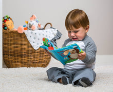 Load image into Gallery viewer, Taggies Buddy Dog Soft Book