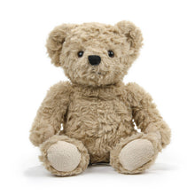 Load image into Gallery viewer, Coco the Curly Bear 9"