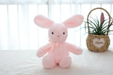 Load image into Gallery viewer, Plush Soft Bunny, Pink, 9"