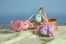 Load image into Gallery viewer, Smootheez Loppies Bunnies
