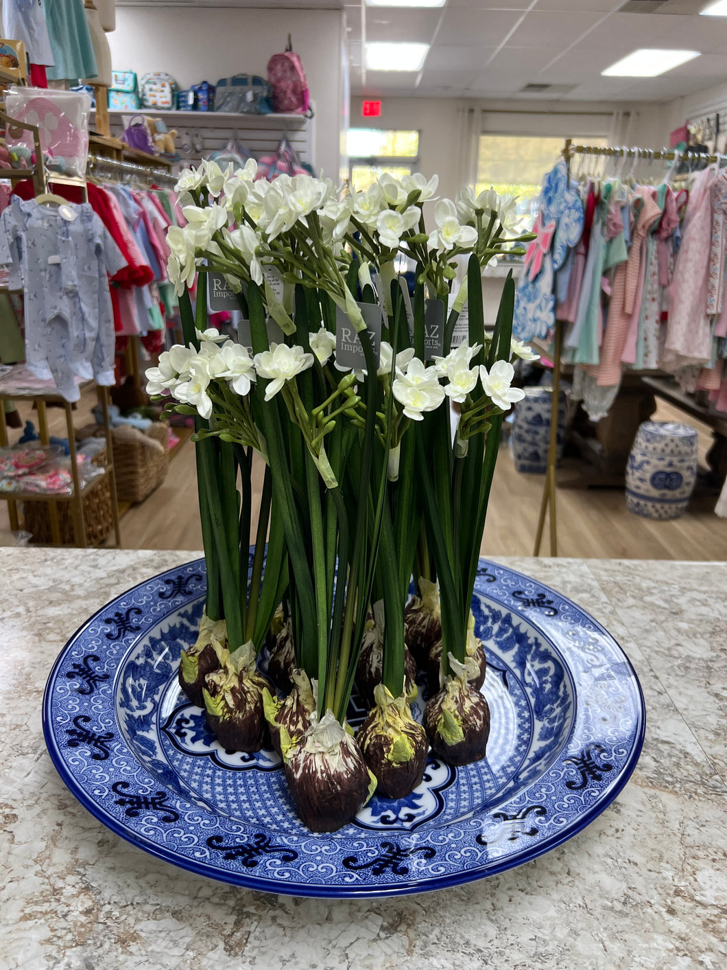 18” paper white Bulb